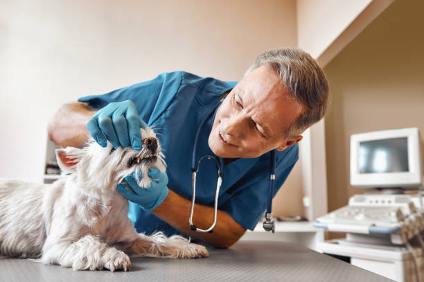 Best Same-Day Emergency Dental Services in Lilburn, GA